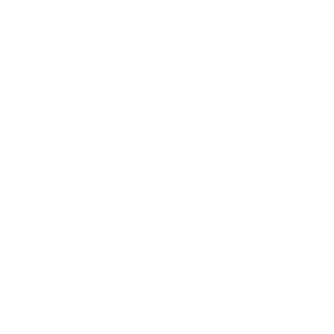 project (1)